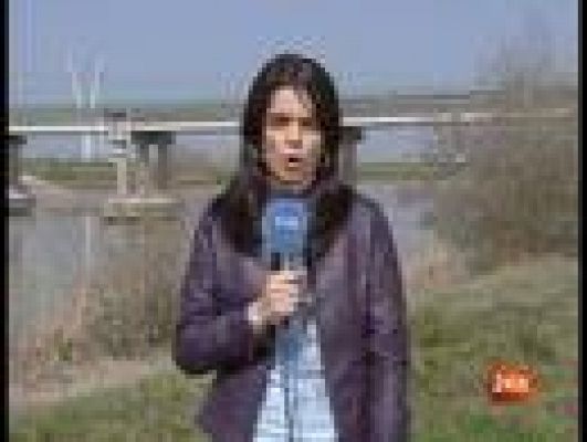  - Perros holandeses buscan a Marta