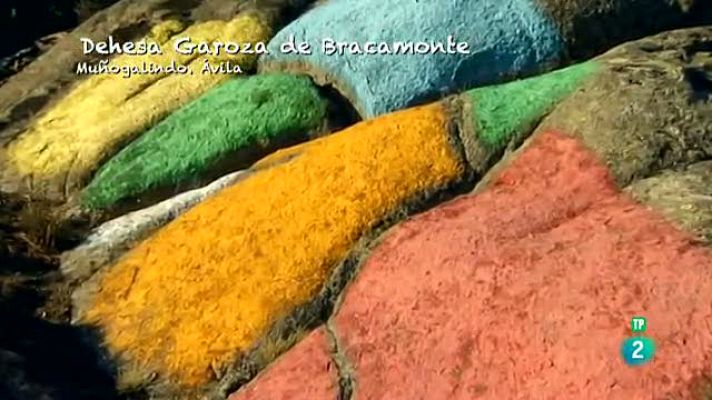 La aventura del Saber - Ibarrola en Garoza