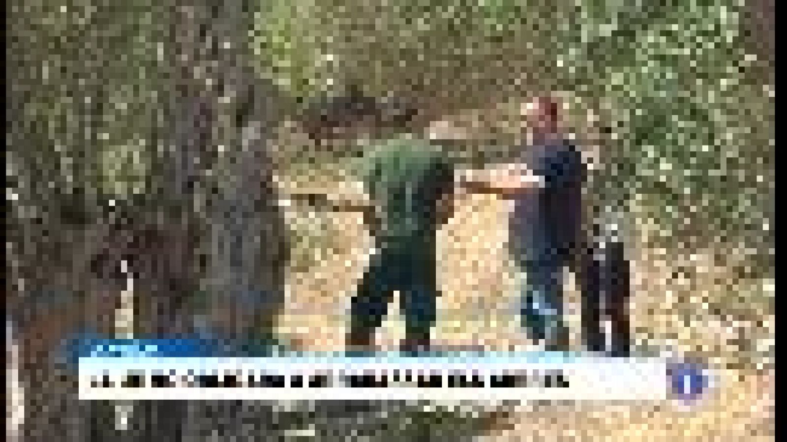 Informatiu Balear en 2' - 12/09/17