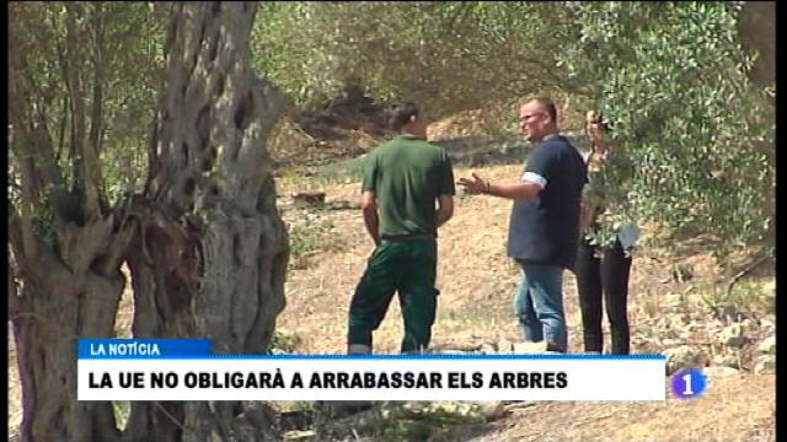 Informatiu Balear - 12/09/17