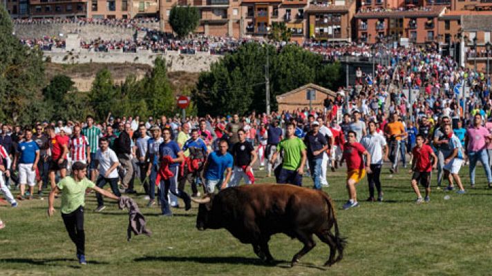 En Tordesillas se ha celebrado el Toro de la Vega sin incidentes