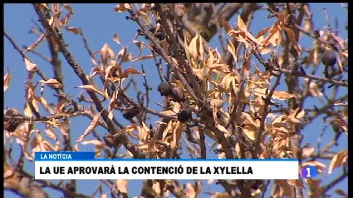 Informatiu Balear - Informatiu Balear 2 - 12/09/17