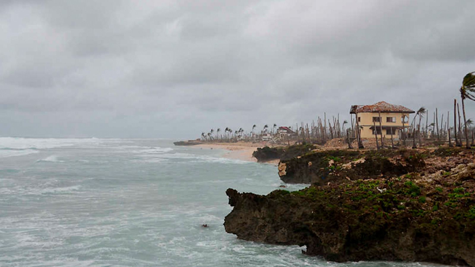 Documenta2 - En el ojo del huracán: Configurando la naturaleza