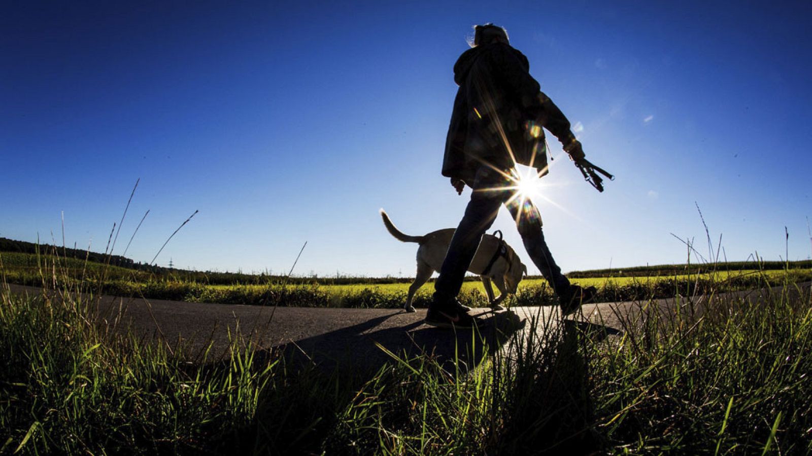 Informativo de Madrid: El Tiempo en la Comunidad de Madrid - 13/09/17 | RTVE Play