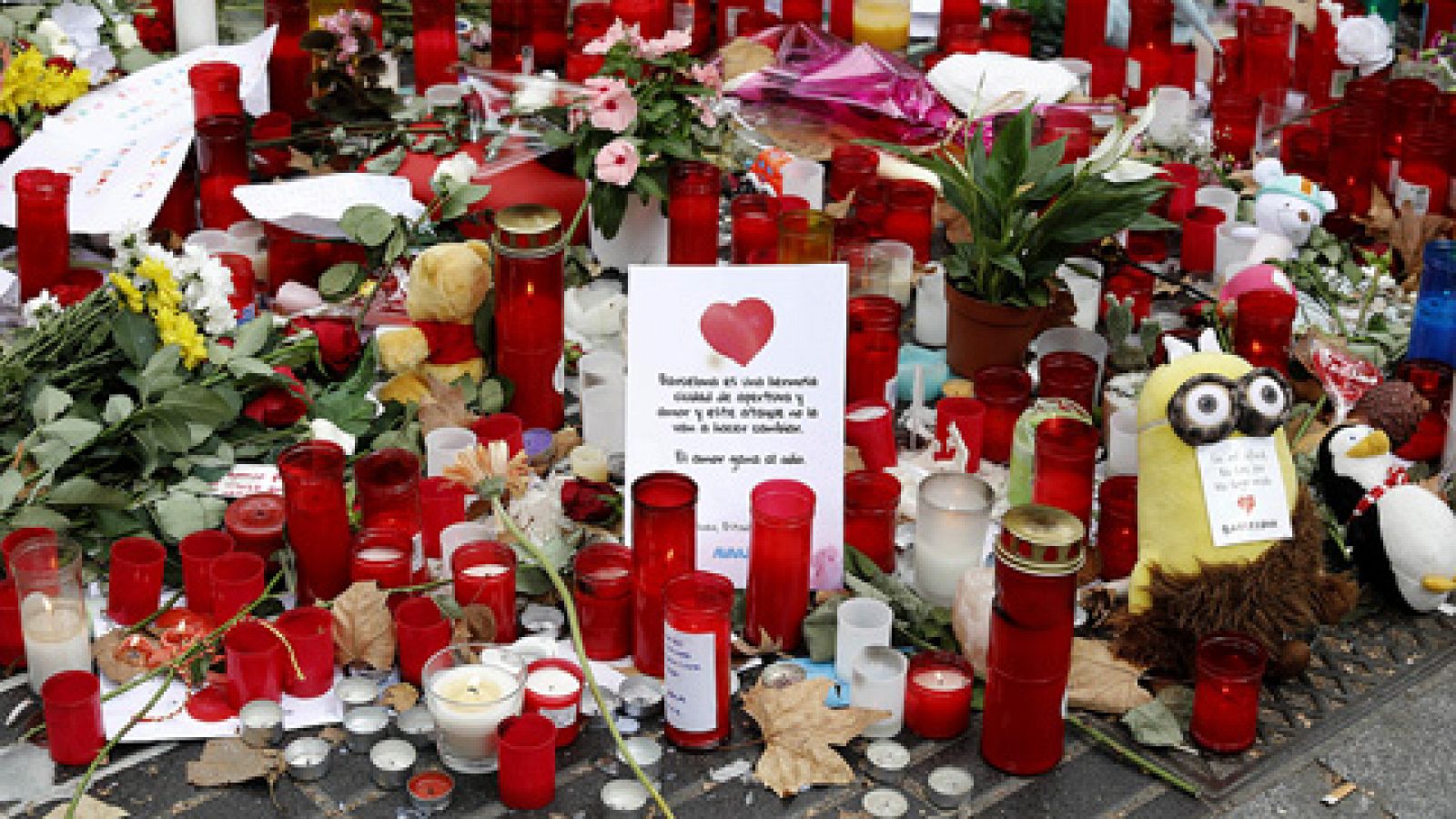 Telediario 1: Una 'memoria virtual' para los homenajes de los atentados de Barcelona y Cambrils | RTVE Play