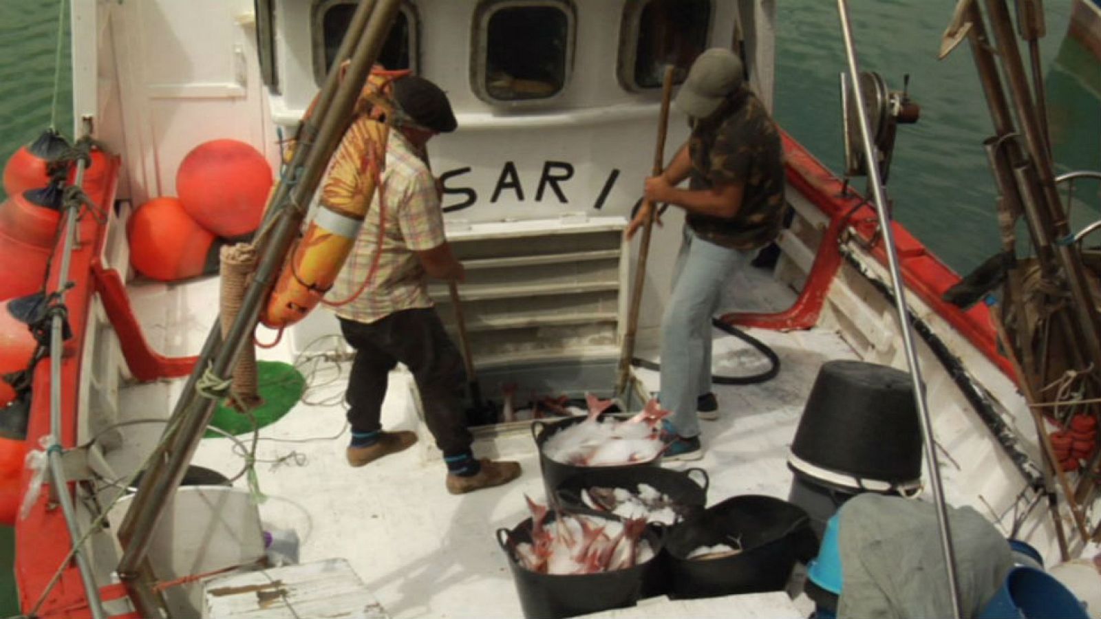 Una app para trazar el Pescado de Conil