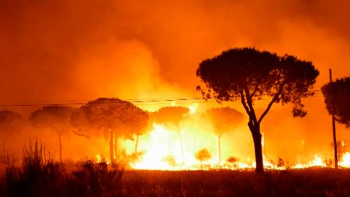 Los trabajadores de una carbonería investigados por el incendio de Moguer, en Huelva, declaran ante el juez