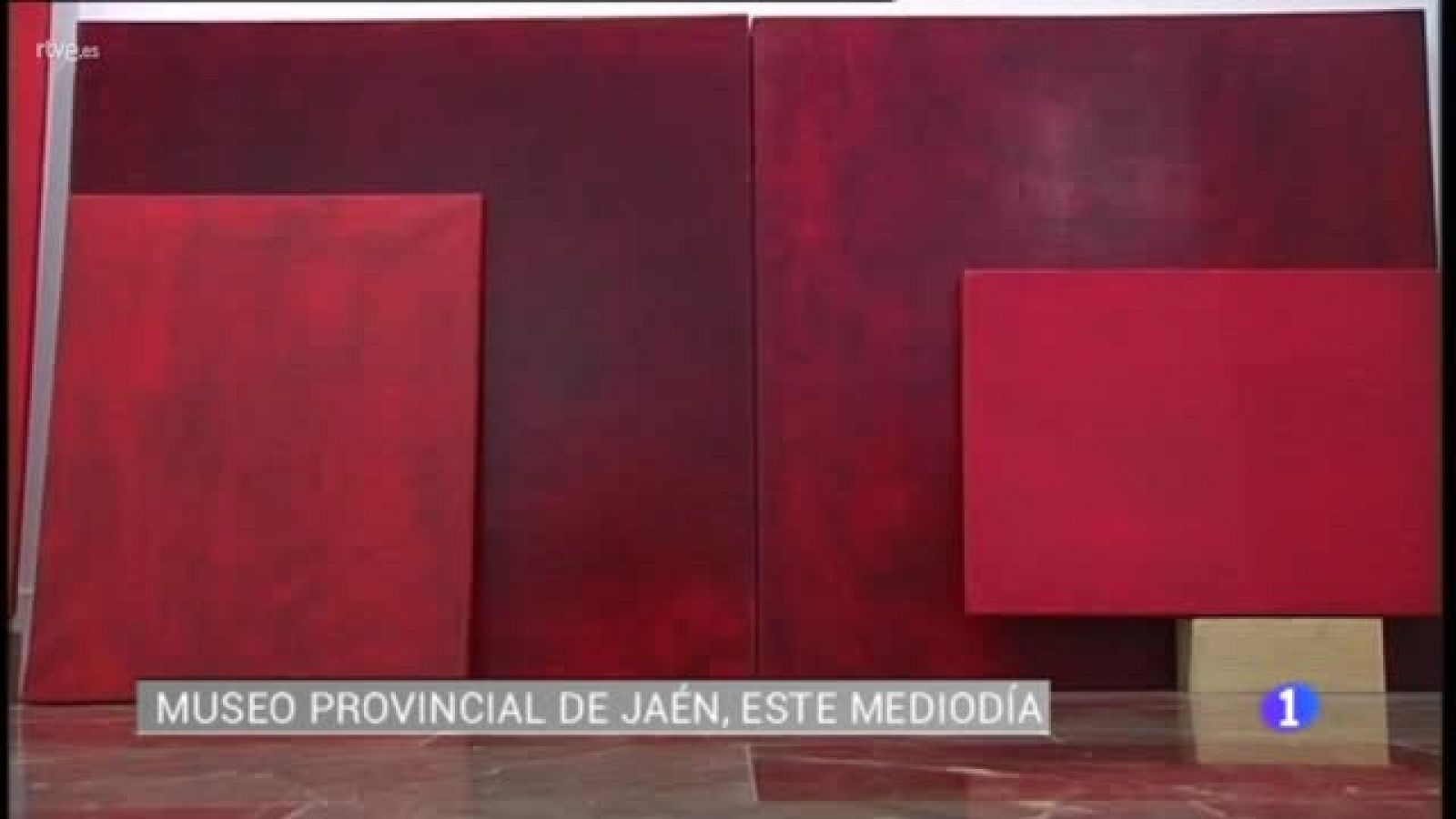 Sin programa: "El dolor de los otros", una exposición de Manuel Luis Armenteros en el Museo Provincial de Jaén | RTVE Play