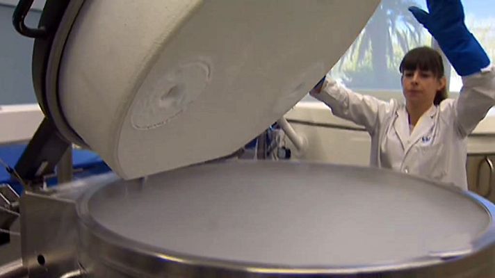 Telediario 1 - Incremento histórico de donantes de médula en España. Son ya casi 340.000