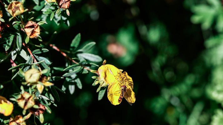 El tiempo - El último fin de semana del verano trae un adelanto del otoño