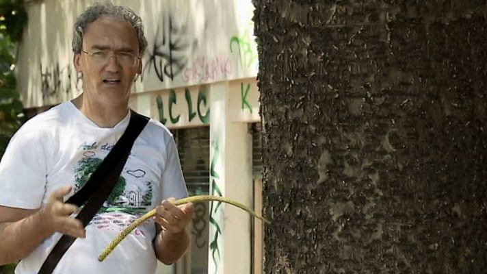El escarabajo verde - El árbol de mi calle