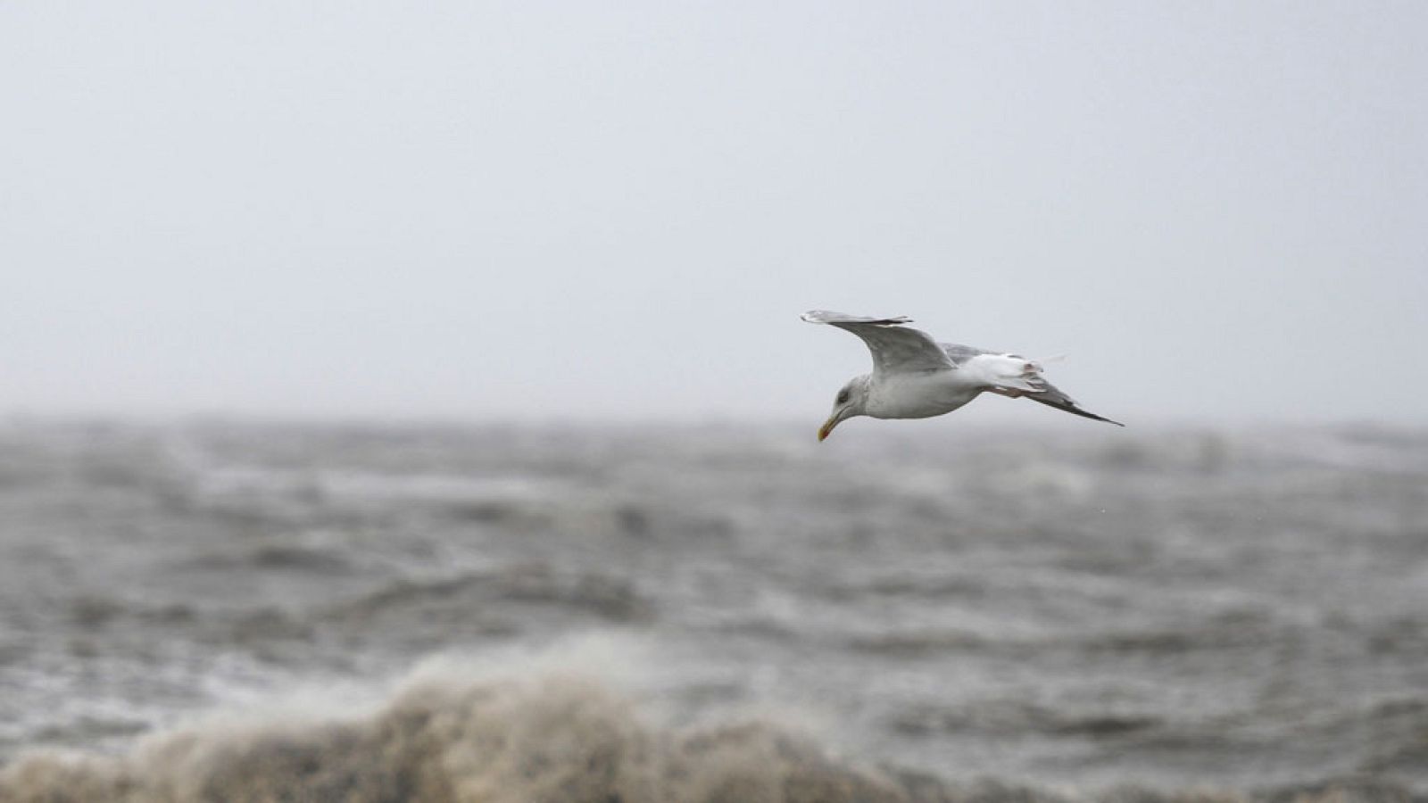 Predominará el tiempo estable y subirán las temperaturas