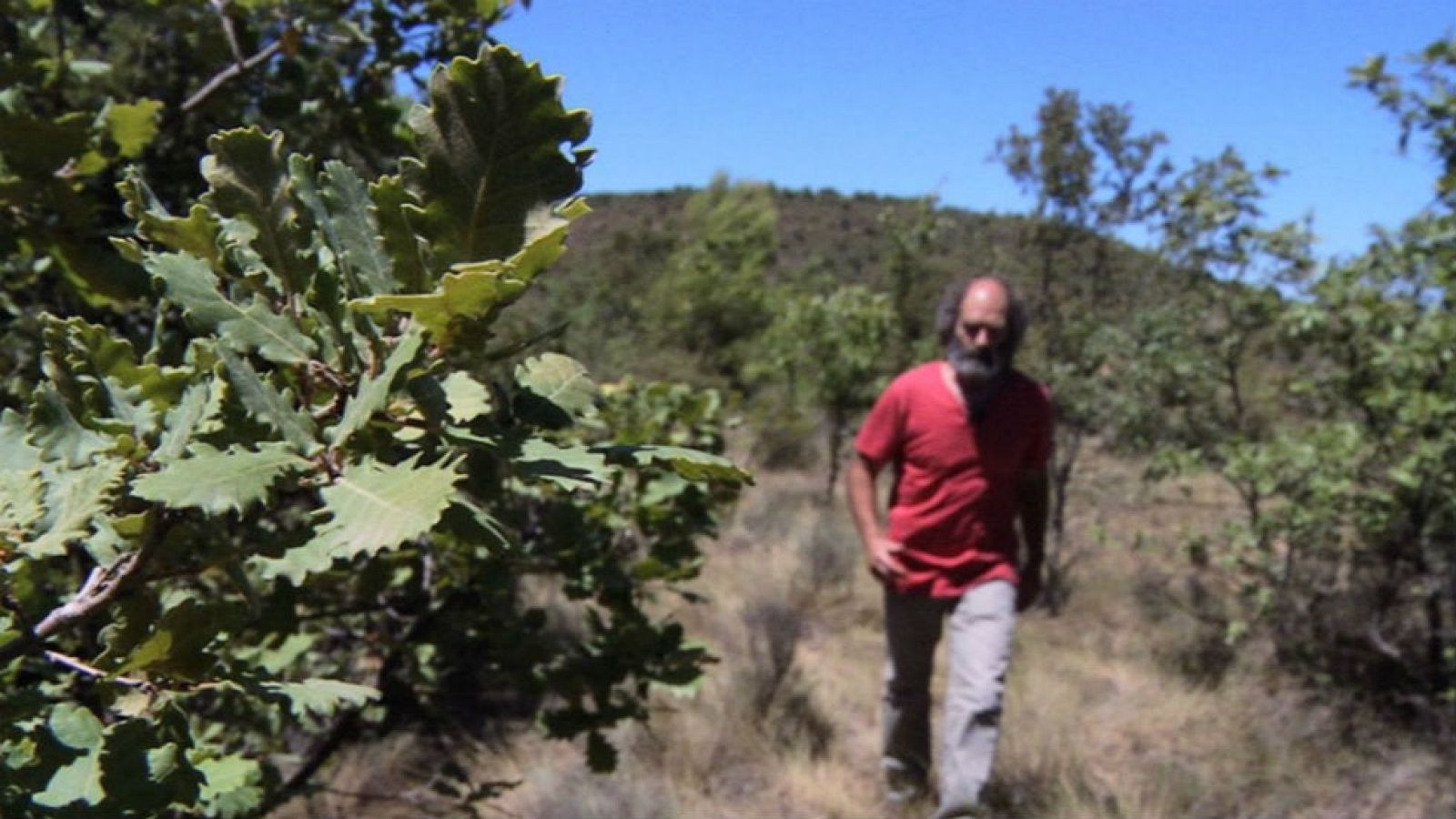 Visitamos un bosque reforestado