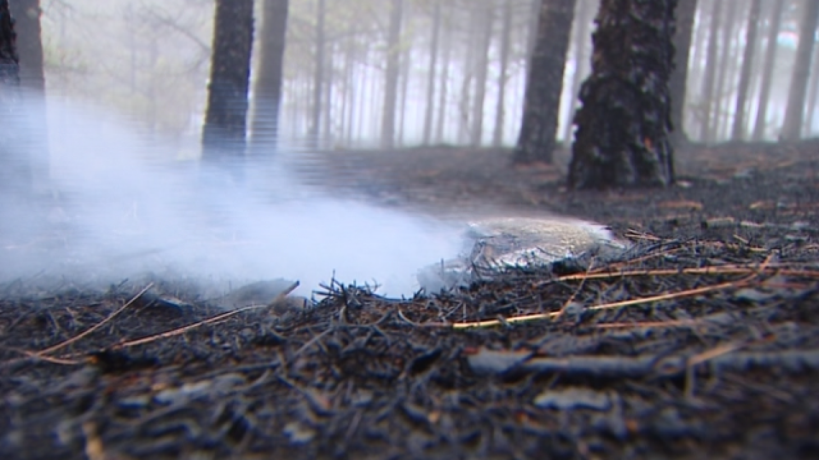 Telecanarias 2 - 21/09/2017