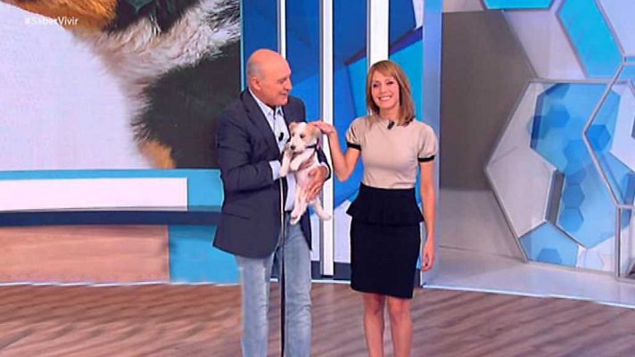 Saber vivir - Saber vivir - 22/09/17