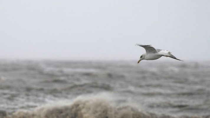 El tiempo - Las temperaturas bajan mañana en las Rías Bajas y en el noreste de Cataluña