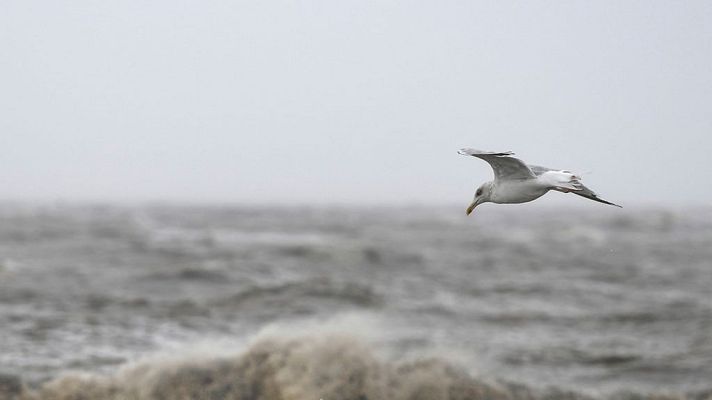 El tiempo - Las temperaturas bajan mañana en las Rías Bajas y en el noreste de Cataluña