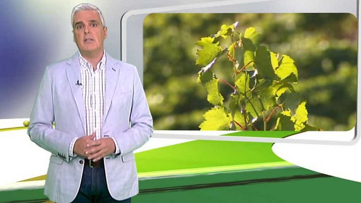 Agrosfera - Agrosfera - 23/09/17