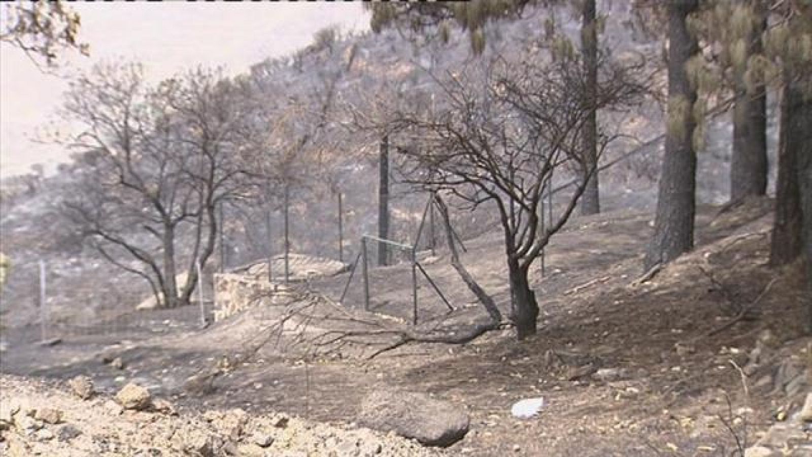 Telecanarias - 23/09/2017