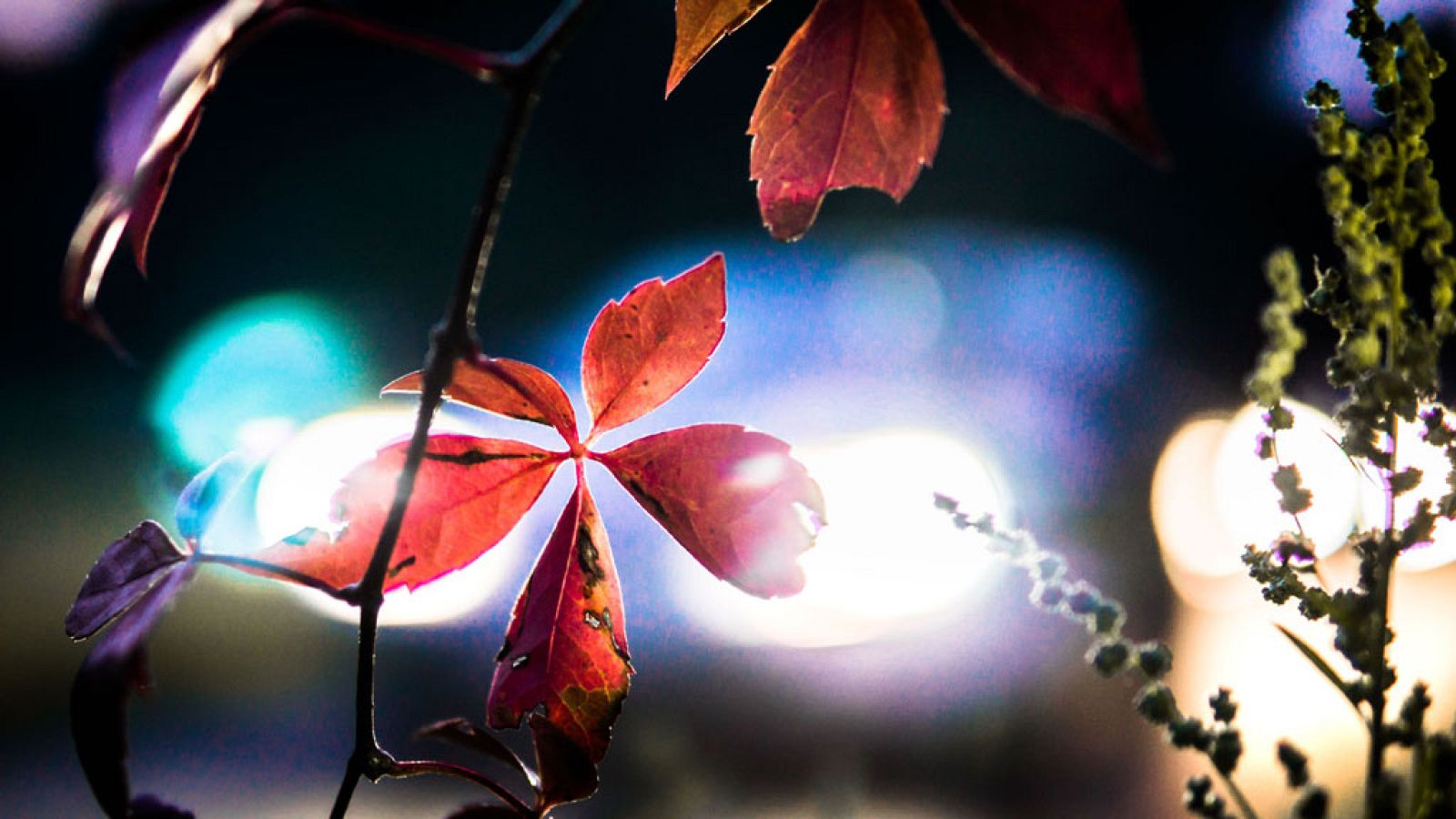 Entra un frente atlántico con lluvias por el noroeste de Galicia