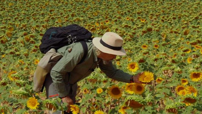 Aquí la Tierra - Aquí la tierra - 25/09/17