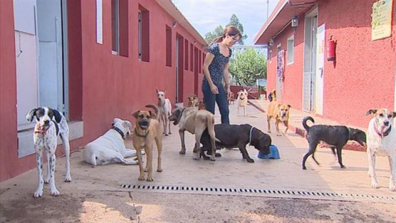 Telecanarias 2 - 25/09/2017 