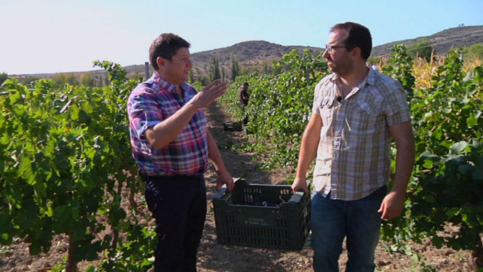 De vendimia madrileña