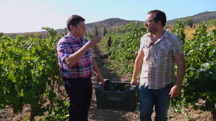 Aquí la Tierra - De vendimia madrileña