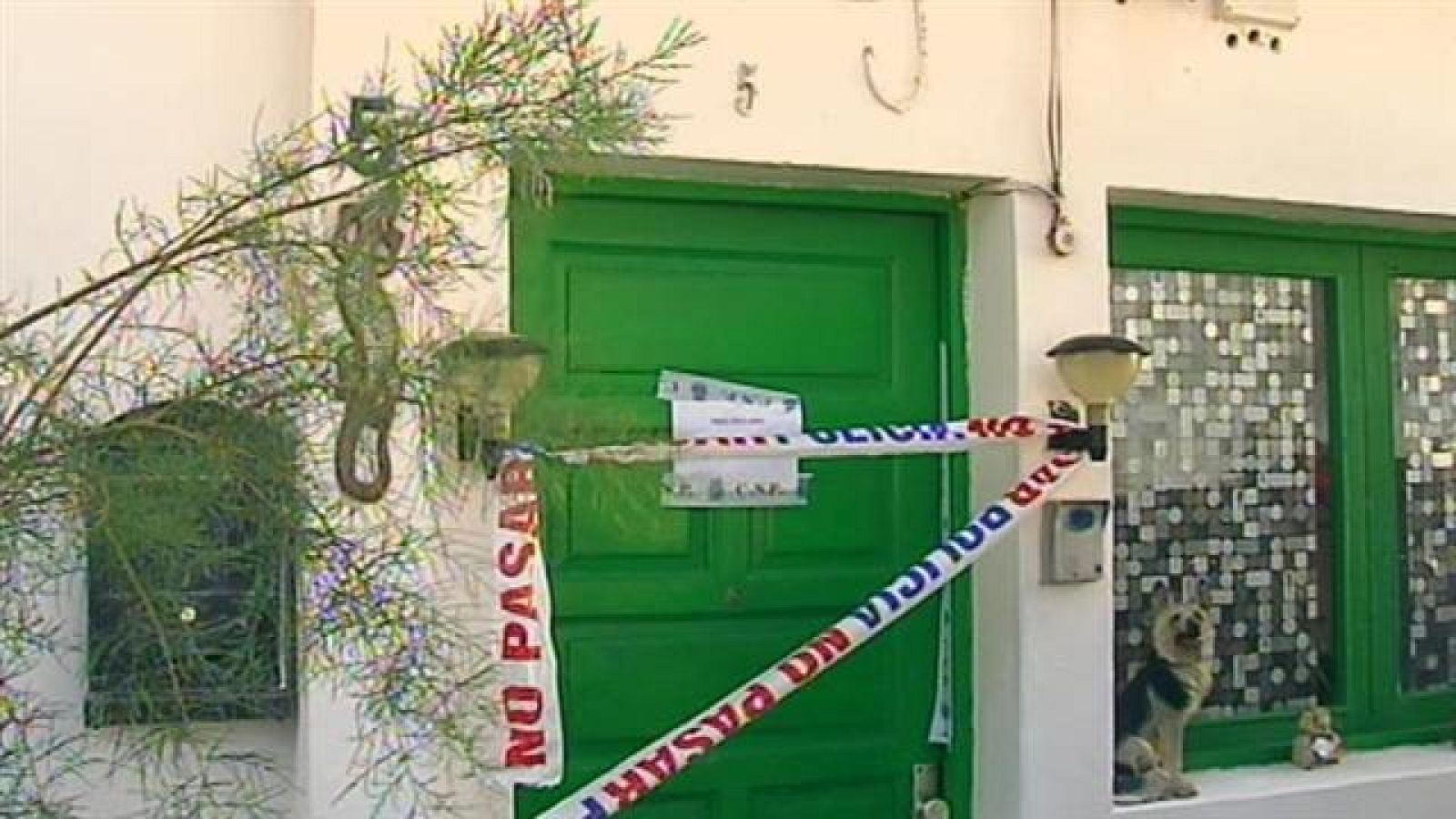 Telecanarias 2 - 26/09/2017