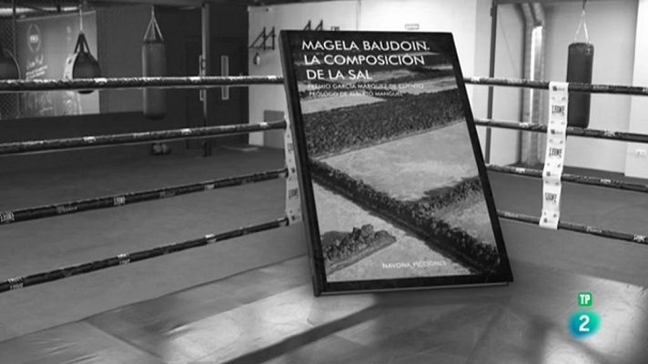 Página Dos - La sugerencia