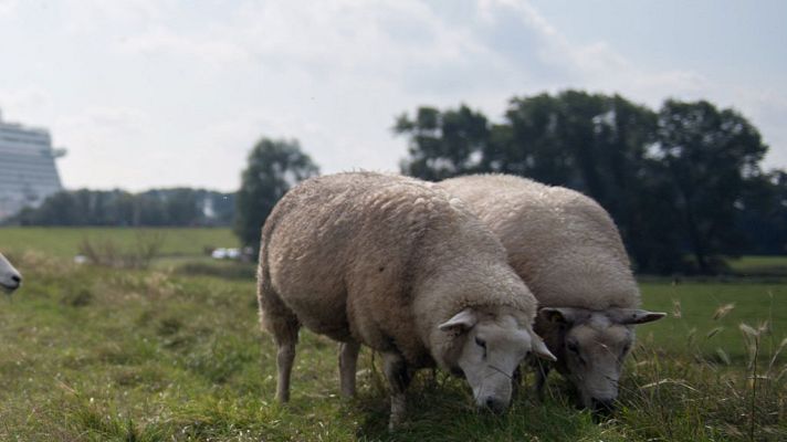 El tiempo - Las temperaturas suben en el norte, pero bajan en Andalucía y Murcia