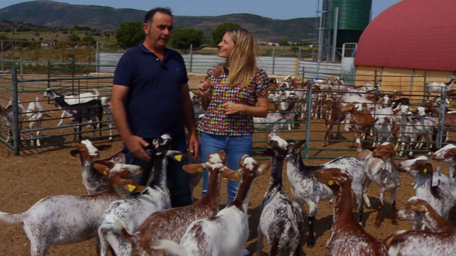 Conoce a las cabras floridas