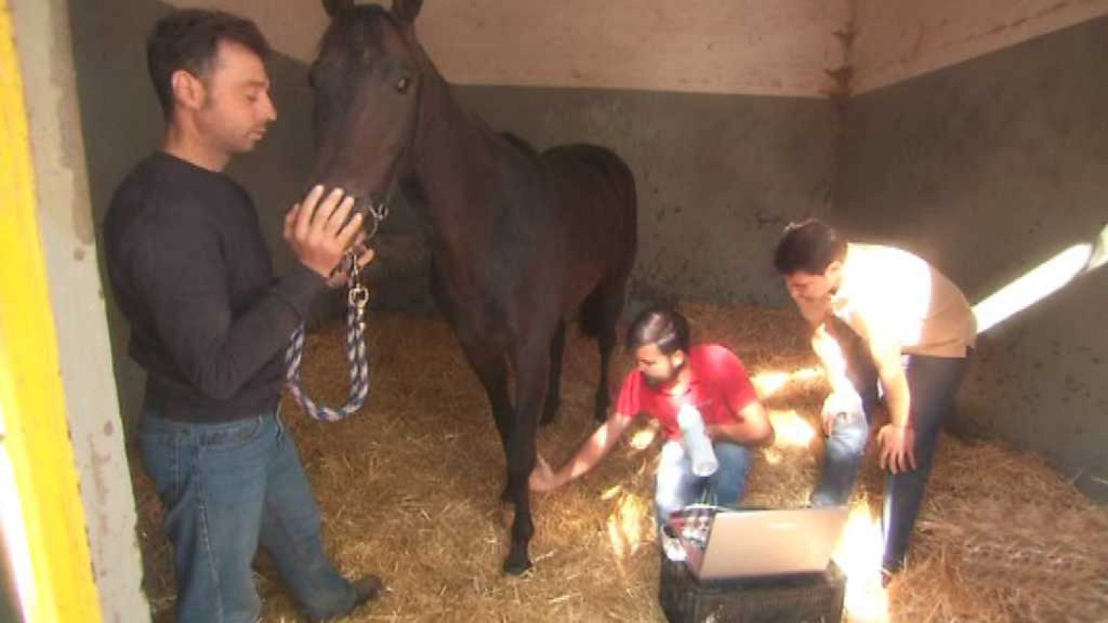 Aquí hay trabajo - 28/09/17 - ver ahora