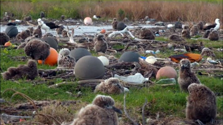 Telediario 1 - Cada segundo se vierten a los océanos hasta 200 kilos de plástico