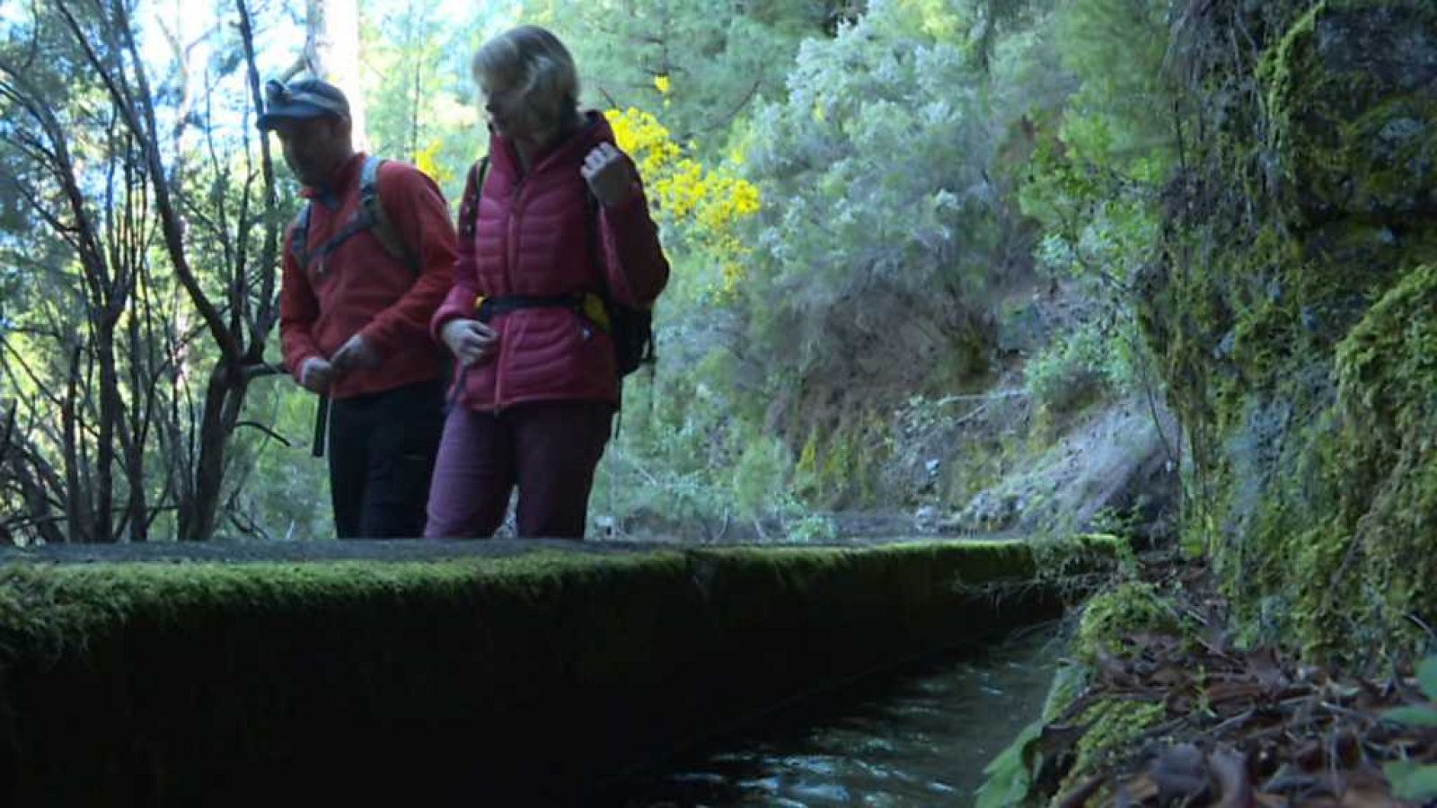 80 Cm - La Palma - ver ahora