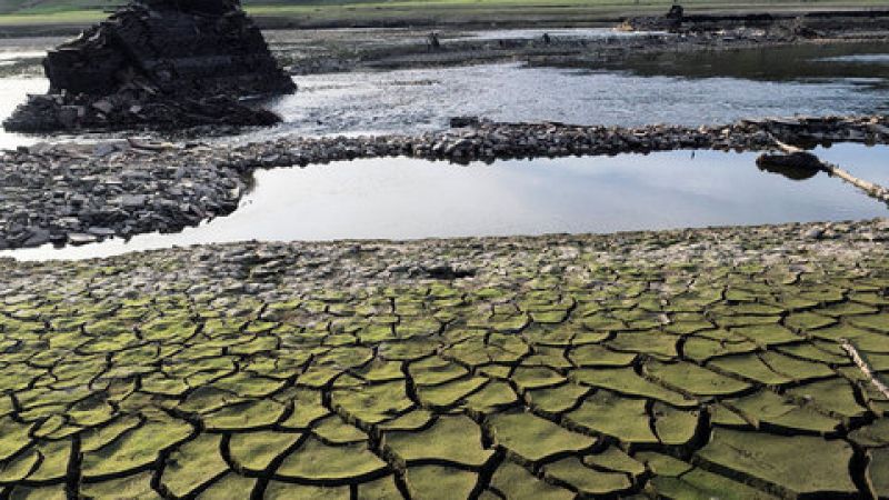 Las cuencas del Segura y el Júcar, las más castigadas por la sequía
