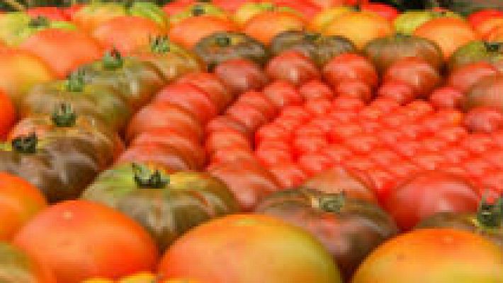 Un tomate para cada día de la semana 