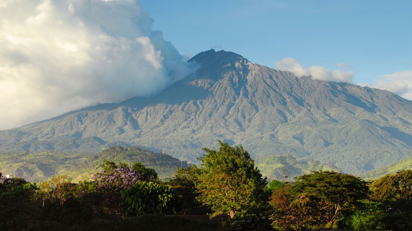 Grandes documentales - Los secretos mejor guardados de Tanzania: Parques Nacionales de Kilimanjaro y Arusha - RTVE.es