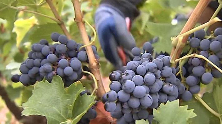 España en 24h - España en 24 horas - 03/10/17