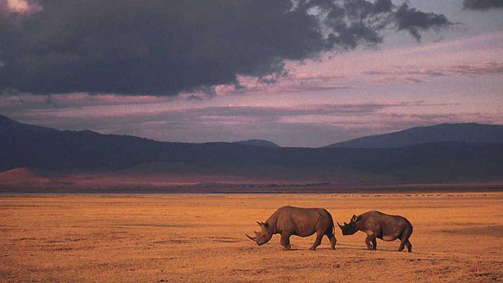Tanzania: Parque Nacional de Tarangire