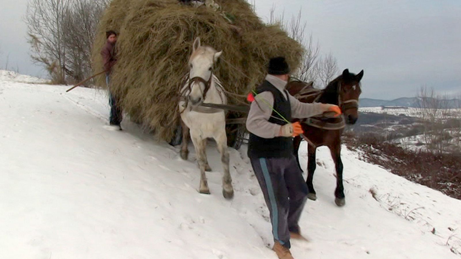 Documenta2 - Maramures, la civilización del bosque - ver ahora