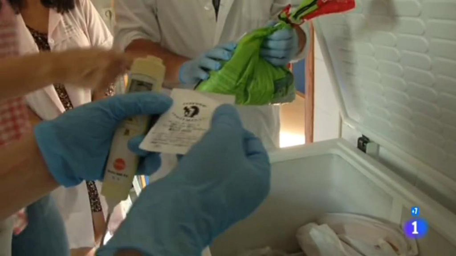 Comer seguro - Inspecciones