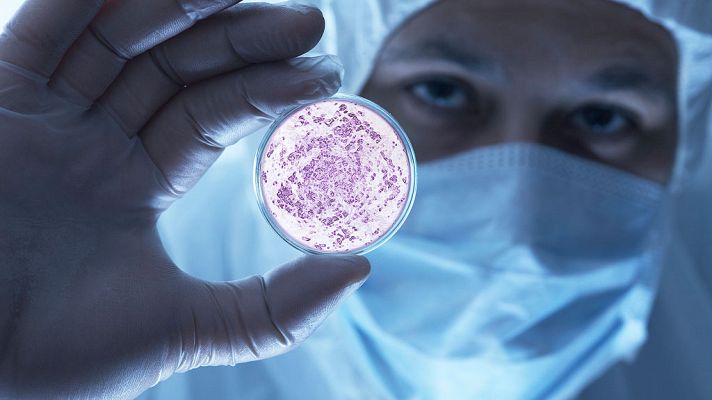  - La Selección Española de la Ciencia 2017 advierte de la pérdida de jóvenes científicos brillantes