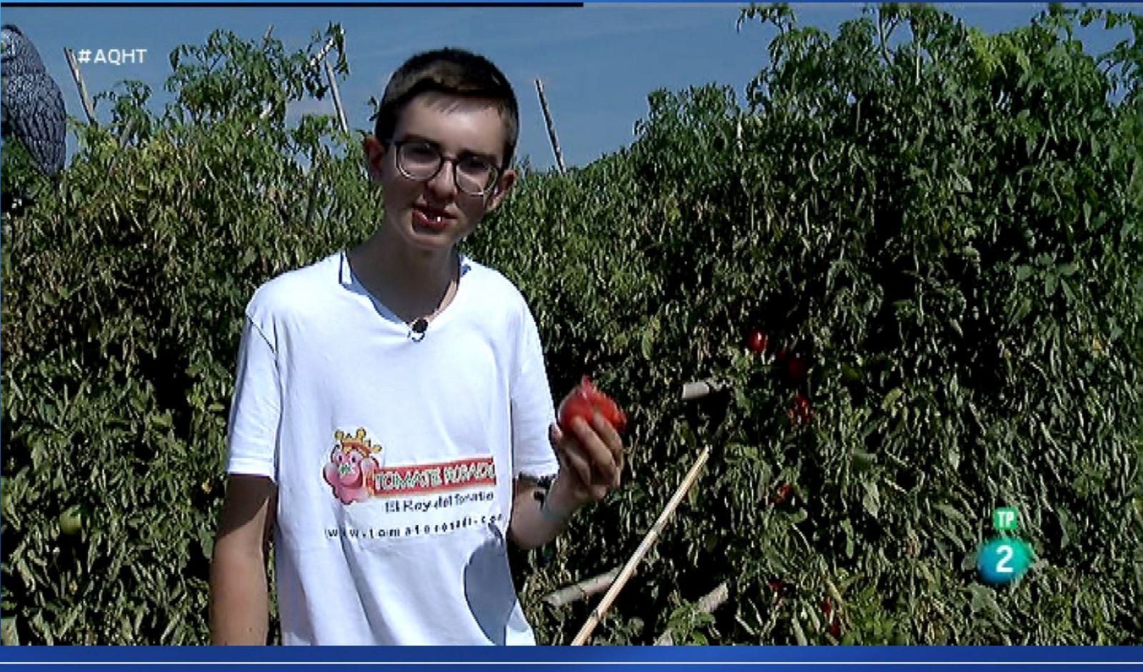 Aquí hay trabajo: Un emprendedor de 16 años es el Rey del Tomate | RTVE Play