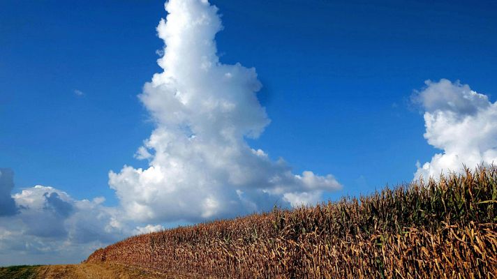 Informativo de Madrid - El Tiempo en la Comunidad de Madrid - 05/10/17