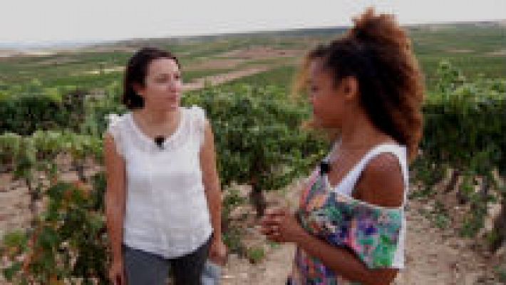 Aquí la Tierra - ¿Qué hace de una uva un buen vino?