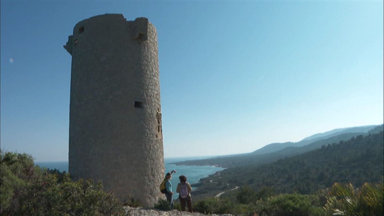 80 cm - Sierra de Irta