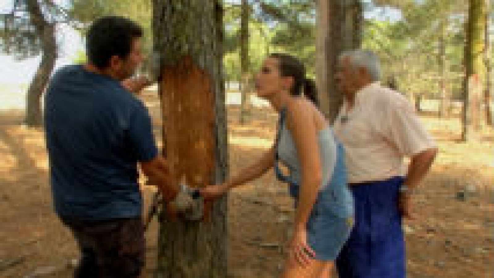 Toda una vida entre pinos resineros