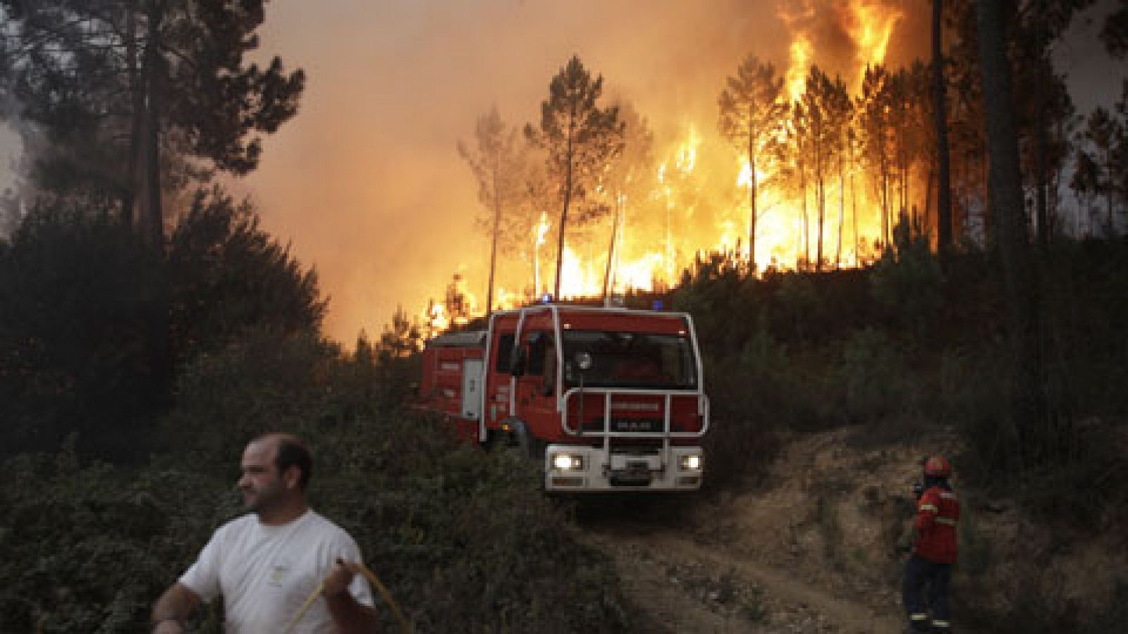 Telediario 1: Seis grandes incendios asuelan importantes zonas del centro y norte de Portugal  | RTVE Play