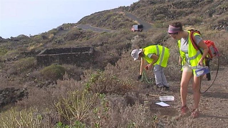 Telecanarias - 10/10/2017 